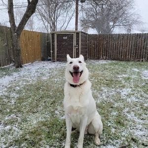 Meet your Posher, Britta